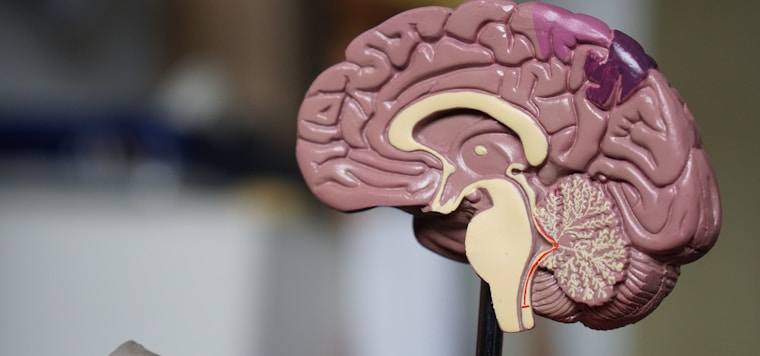 Terapia EMDR